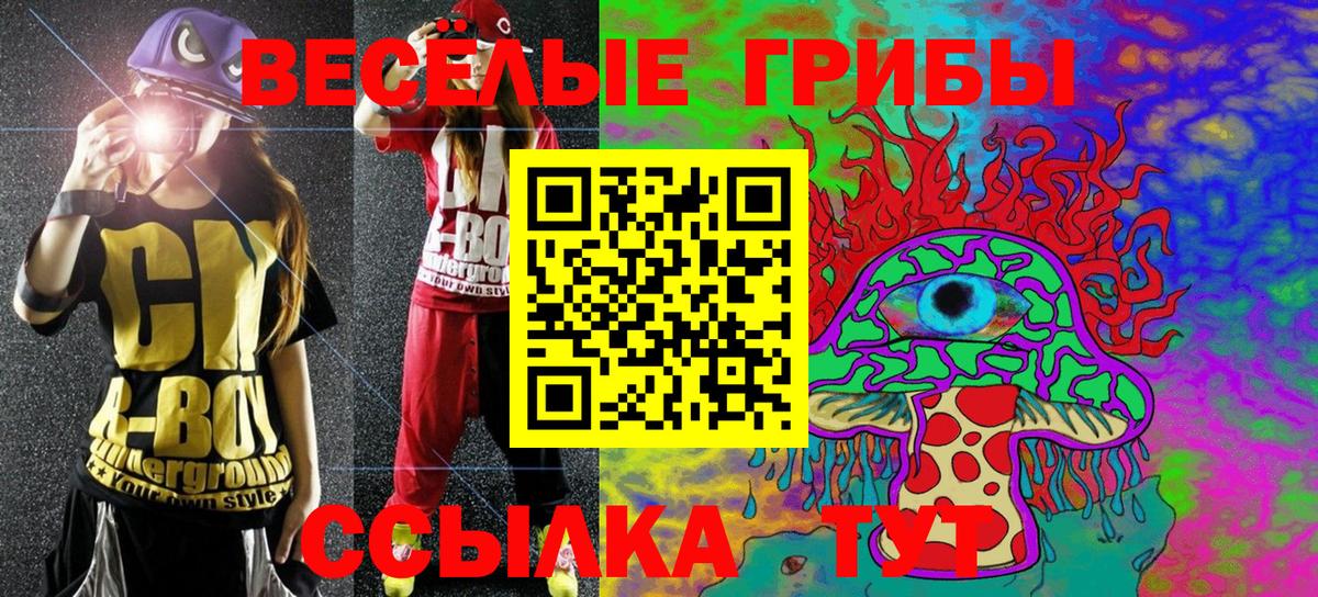 Туймазы  Псилоцибиновые грибы Magic Shrooms  цены   Вход с VPN 